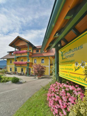 Отель Landhaus Ebner  Мильстат